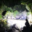 PWPSG Outdoor LED Flashlight Black Long Range Digital 4