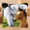 DIY Pillowcase Latch Hook Rug Kit Horse Pattern for Beginners Adults 43x43cm 2