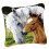 DIY Pillowcase Latch Hook Rug Kit Horse Pattern for Beginners Adults 43x43cm 7