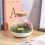 Bottle for Landscaping and Storage - Home Use Ecological Container 5
