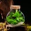 Bottle for Landscaping and Storage - Home Use Ecological Container 6
