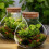 Bottle for Landscaping and Storage - Home Use Ecological Container 8
