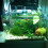 5Pcs Aquarium Fish Net with Durable Handle Portable Sturdy Frame Assorted Color for Fish Tank 3