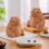 Capybaras silikonform til dessert, mousseverktøy, gave til bakeentusiaster 4
