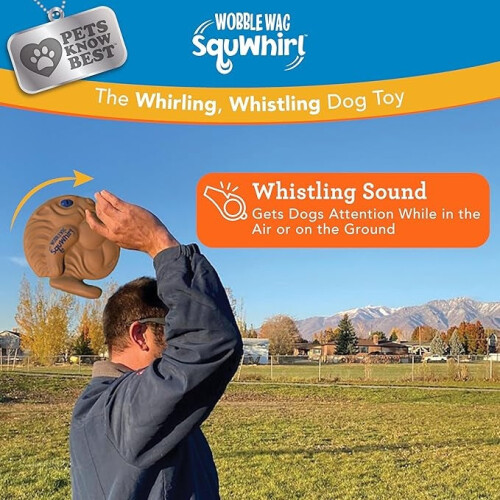 Flying Spinner Toy - Rechargeable, Boomerang Action 1
