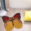 Latch Hook Rug Decor Butterfly Shaped for Carpet Needlework Craft Carpet Making 7