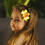 Conjunto de 3 Presilhas de Cabelo com Flores para Mulheres e Adolescentes 5