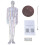 Modèle professionnel de points d'acupuncture humains, modèle de points d'acupuncture masculin, modèle de points d'acupuncture féminin avec points 5