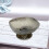 Pedestal Drainer Fruit Bowl Container Organizer Decorative Dessert Display Plate Black Silver 8