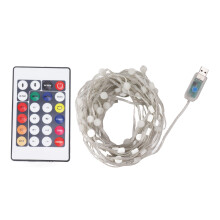 Timer Function LED String Lights Color Changing Remote Control Waterproof Twinkle Fairy Light with USB Power and Twistable Design for Indoor Outdoor