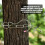 Durable Clothes Drying Rope With Two Sturdy Hooks For Easy Hanging 5