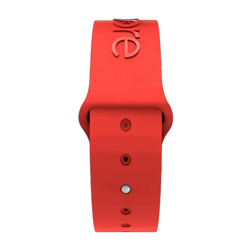 Sport-Performance-Armband, Blau/Neon, S/M 1