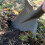 Root Slayer Mini Spade - Compact Carbon Steel Tool 4