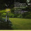 Solar-Wetterstation mit Regenmesser und Thermometer 4