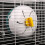 Silent Running Wheel for Hamsters and Squirrels 12 cm 3