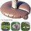 10-Gallon Plastic Tree Watering Ring - Slow-Release Drip Irrigation System, 1 Count 4