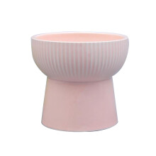 Elevated Cat Bowl Set Microwave Safe Dishwasher Safe Anti Vomiting Raised Cat Bowls Lead Free Material Tilted Bowl Design Stress Free Design Backflow