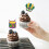 12 τεμάχια διακοσμητικά για cupcakes Mardi Gras, καλύμματα προσώπου για μεταμφίεση, 2