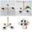Parrot feeder perch with dish cup and screw stand 2