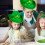 St. Patrick's Day Green Velvet Top Hat1pc 5