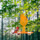 Αδιάβροχη μεταλλική πλατφόρμα τροφοδοσίας πουλιών, διακοσμητική, για παρατήρηση 4