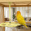 Rotating Windmill Bird Perch 7.5 x 9.1 in for Small Medium 3