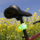 Turtle Bright Cycling Light Auto-Sensing Alarm 1 Pack 6