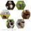 Στολή Σκύλου Cowboy Rider για Σκύλους Στυλ Ιππότη με Κούκλα και Καπέλο για την Ημέρα 3