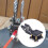 Κλειδί CW Morse Mini Morse Code Paddle Key Καλώδιο 3,5 χιλιοστών Μεταλλική φορητή βάση για λάτρεις 6