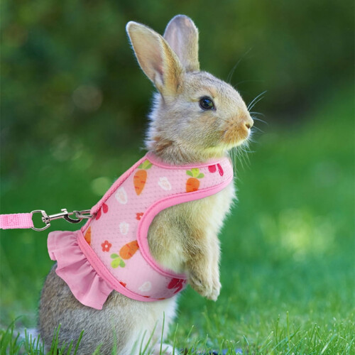 Adjustable Rabbits Skirt Leash Rabbits Harness Leash Vest Harness 2