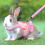 Rabbit Harness Vest with Adjustable Leash 4
