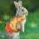 Adjustable Rabbits Skirt Leash Rabbits Harness Leash Vest Harness 7