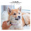 Pet Grooming Scissors Set Straight 5-Piece 7