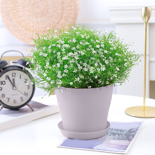 Flower Pot Resin Long Open Style 1 Piece 1