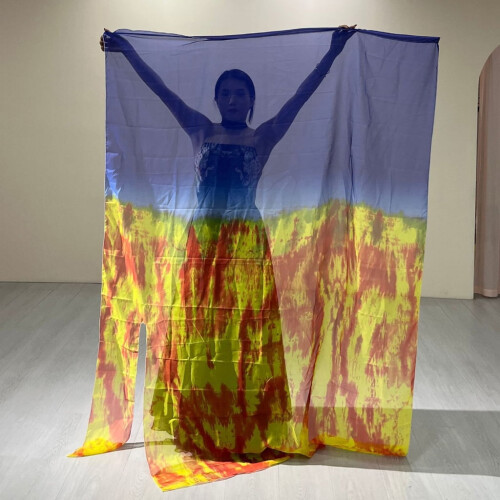 Worship Flags with Scalable Rod, Rectangular Banners Flags Dance Practice Performances Praise Dance Flags Divines Flags 2