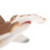 Realistic Hammerhead Shark Figurines, Plastic Ocean Animal Figures, Easter Eggs 7