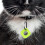 3Pcs Silicone Protective Case Accessory Compatible with Keychain for Daily Use 3