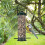 Bird Feeder Hanging Decor for Wild Birds 5
