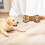 Solid Wood Bone-Shape Dog Bowl Dinner Plate - Durable Bread Bowl for Pet Feeding, 7.5"x4.13" 6