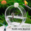 Touch Activated Bird Water Dispenser 250ml Leakproof Automatic Refill Systems Waterer Bottle For Parrots Cage Mounting 5