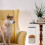Dog Food Bin with Plastic Construction for Pet Feeding Needs 1Pcs 7