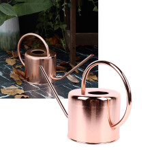 Large Stainless Steel Watering Can with Long Spout, Retro Design for Home Garden