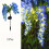2 ηλιακά φώτα λουλουδιών Wisteria, εξωτερικά φώτα εδάφους με πρίζα, 52 χάντρες LED, 2 8