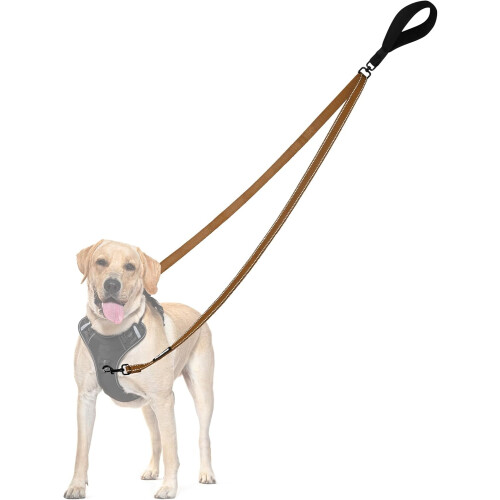 Two-Point Control Leash for Medium/Large Dogs – No-Tangle, Padded, Reflective, Converts to Single Leash, Compatible with No-Pull Harnesses (Brown) 1
