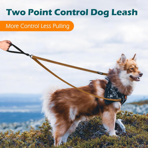 Two-Point Control Leash for Medium/Large Dogs – No-Tangle, Padded, Reflective, Converts to Single Leash, Compatible with No-Pull Harnesses (Brown) 2