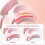 Long Lasting Electric Heated Eyelash Curler Rechargeable Makeup Curling Tool- 3