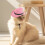 Sett med cowboyhatt og hundesele til kattefester 4