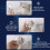 Breathable Cat Muzzle with Adjustable Fit Prevent Biting & Licking for Grooming 9