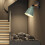 Black Iron Wall Light for Bedroom9Inch 7