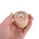 Holz Zahnbox Für Baby Zahn 3